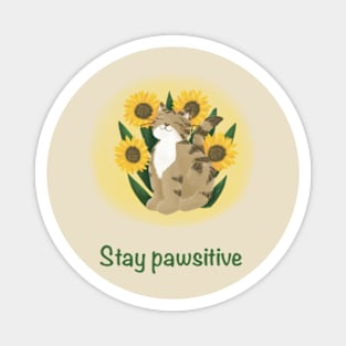 Stay pawsitive cat and sunflowers Magnet